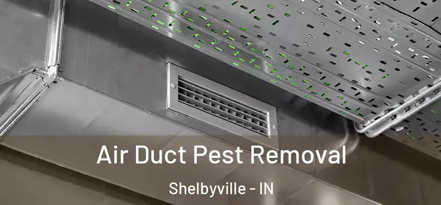  Air Duct Pest Removal Shelbyville - IN
