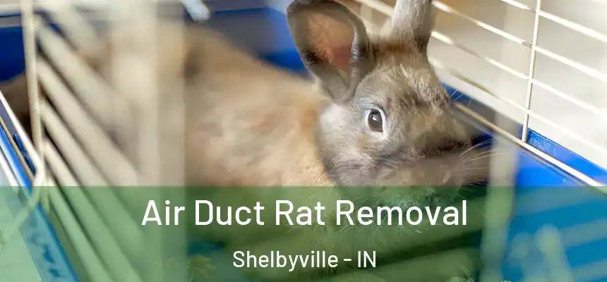  Air Duct Rat Removal Shelbyville - IN
