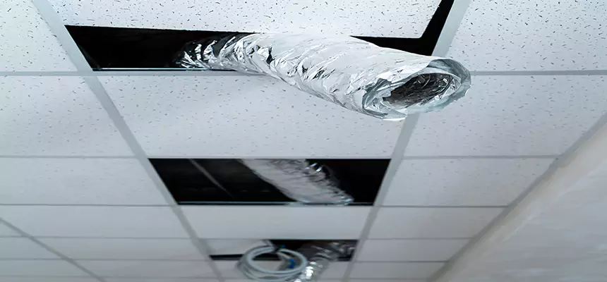 Affordable HVAC Sanitizing After Pest Removal in Shelbyville