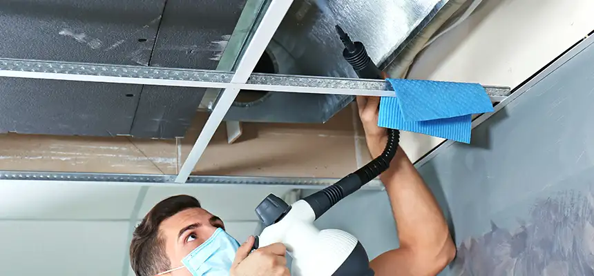 Our Air Duct Rodent Removal Services in Shelbyville, IN