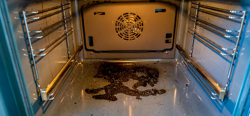 Our Dryer Vent Mold Cleaning Services in Shelbyville, IN