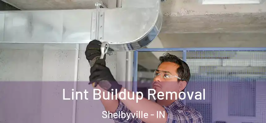  Lint Buildup Removal Shelbyville - IN