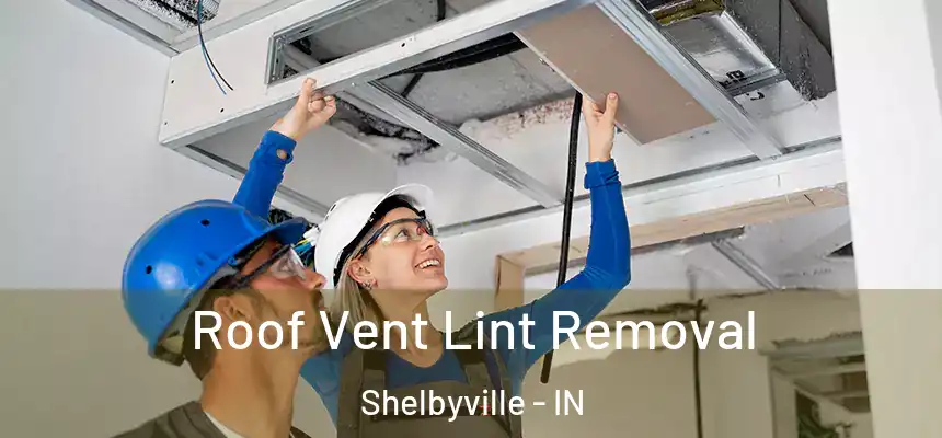  Roof Vent Lint Removal Shelbyville - IN