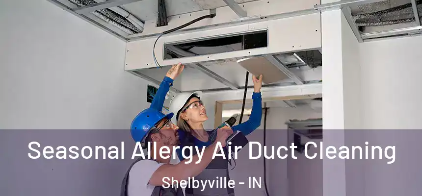  Seasonal Allergy Air Duct Cleaning Shelbyville - IN