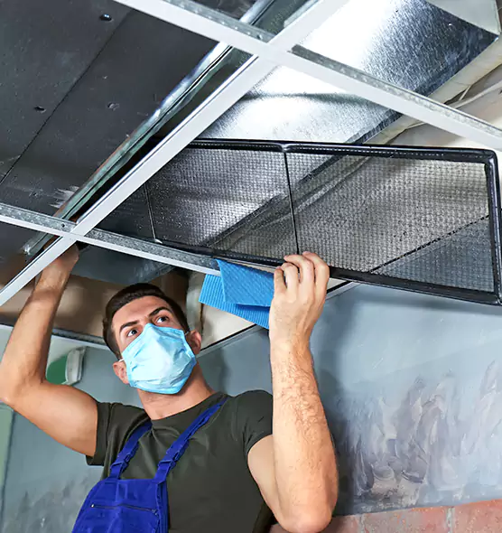 Professional Air Duct Pollen Cleaning in Shelbyville, IN