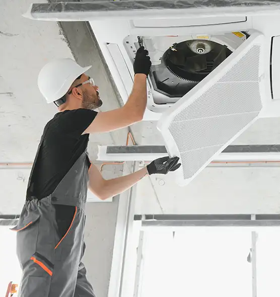 About Air Duct Rodent Removal in Shelbyville, IN