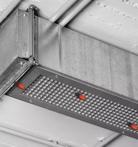 Affordable Insect Removal from Air Ducts in Shelbyville, IN