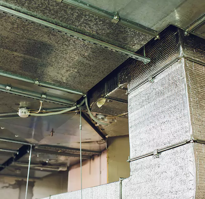 Why Homeowners & Businesses Trust Us in Shelbyville, IN?