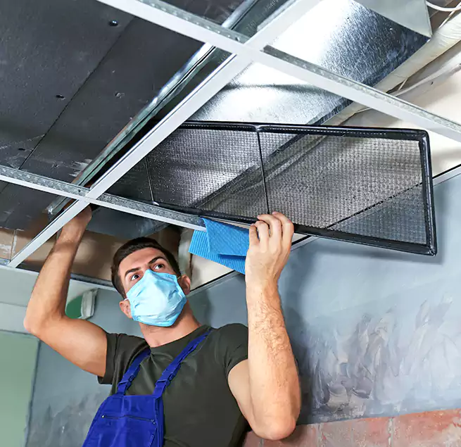 Why Homeowners Businesses Trust Us in Shelbyville, IN